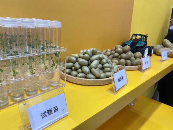 期货配资查询 链博会观察｜一杯拿铁的降碳之路：AI时代科技如何让农业更绿色